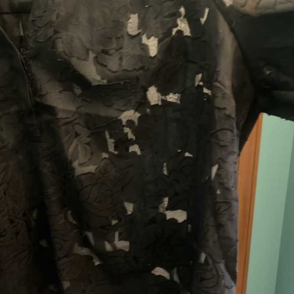 Torrid Size 2 Semi Sheer Blouse with V Neck - Picture 3 of 6